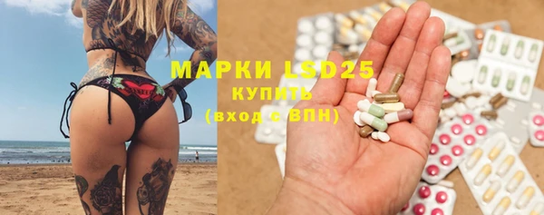 ECSTASY Богородицк