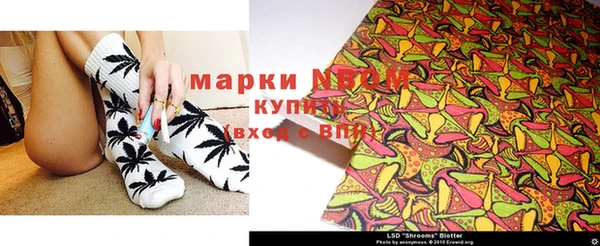 ECSTASY Богородицк