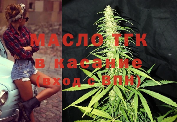 ECSTASY Богородицк