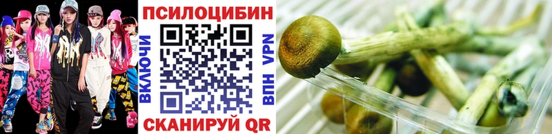 Псилоцибиновые грибы Cubensis  Острогожск 